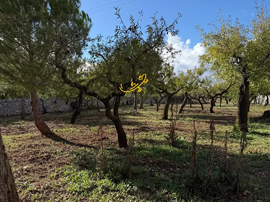 Immagine 21 di Rustico / casale in vendita  in Strada Comunale Genna a Castellana Grotte