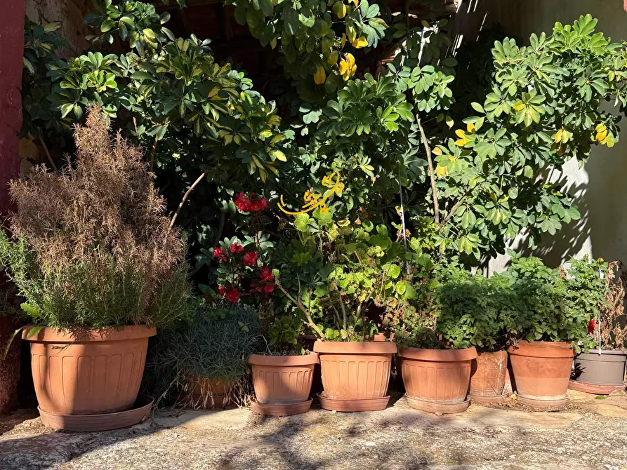 Immagine 22 di Rustico / casale in vendita  in Strada Comunale Genna a Castellana Grotte