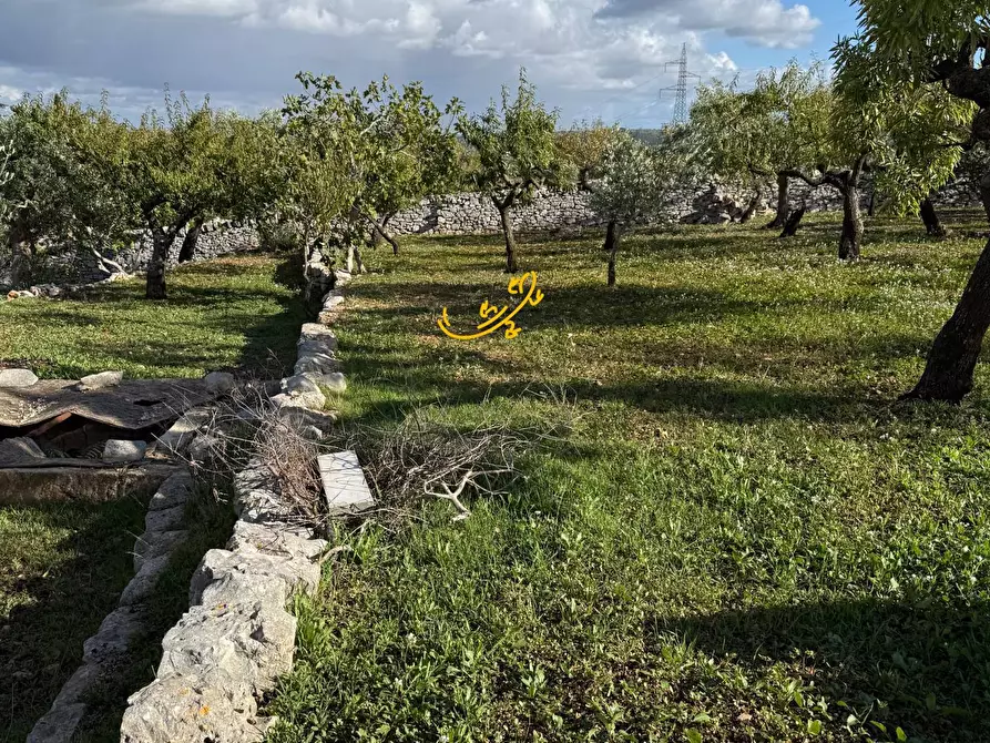 Immagine 23 di Rustico / casale in vendita  in Strada Comunale Genna a Castellana Grotte