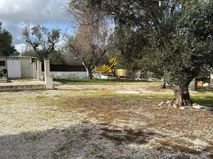 Immagine 4 di Baita in vendita  in Contrada Grotta SN a Ostuni