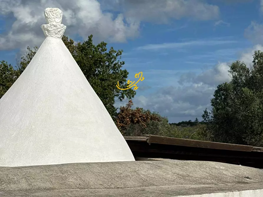 Immagine 17 di Baita in vendita  in Contrada Grotta SN a Ostuni