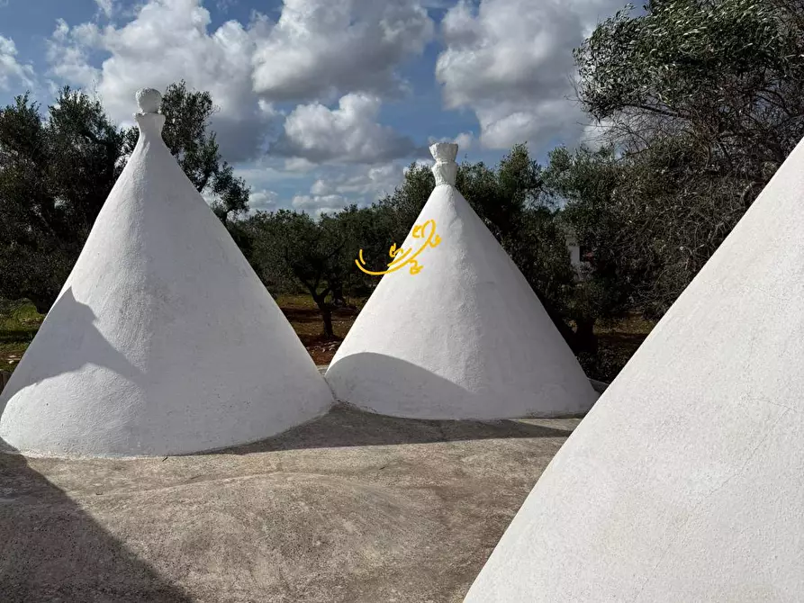 Immagine 31 di Baita in vendita  in Contrada Grotta SN a Ostuni