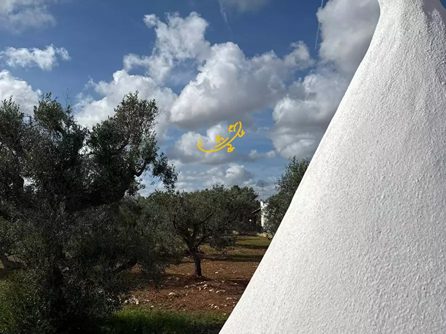 Immagine 32 di Baita in vendita  in Contrada Grotta SN a Ostuni