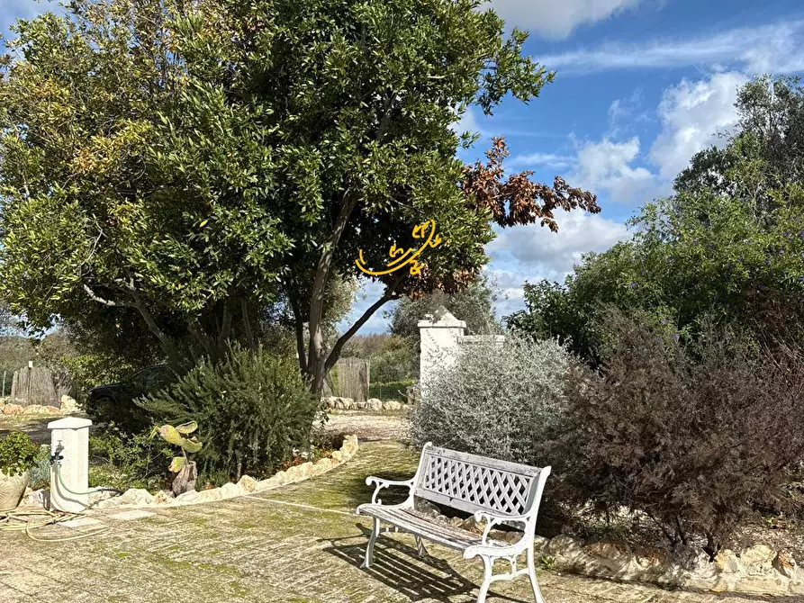 Immagine 37 di Baita in vendita  in Contrada Grotta SN a Ostuni