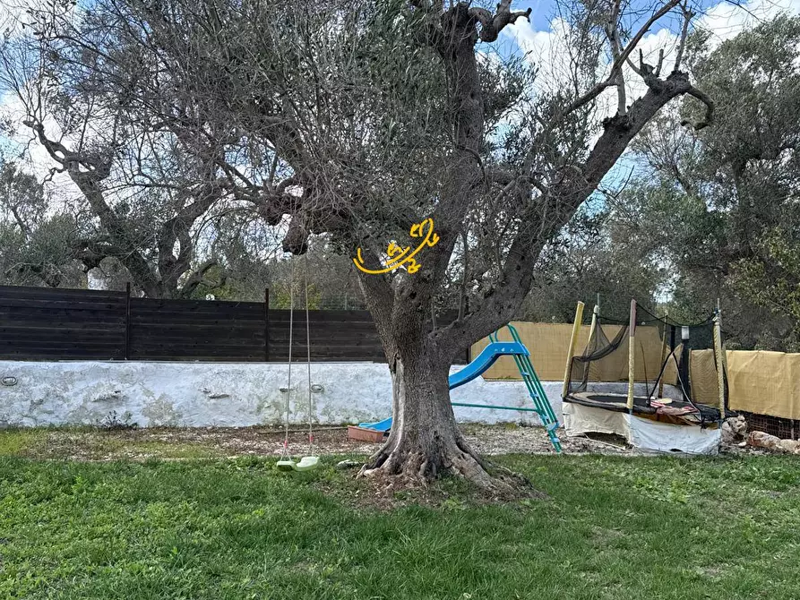 Immagine 41 di Baita in vendita  in Contrada Grotta SN a Ostuni