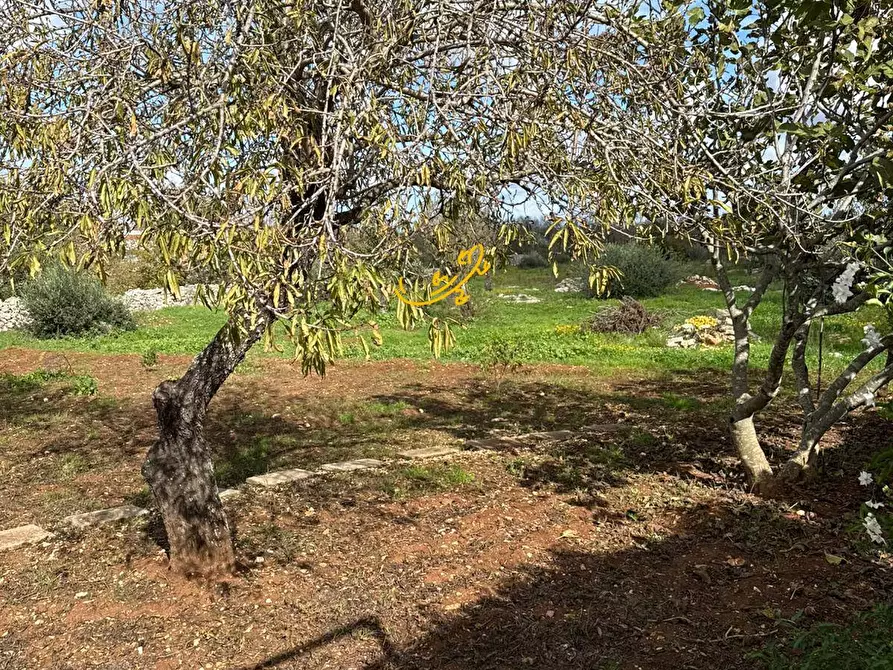 Immagine 42 di Baita in vendita  in Contrada Grotta SN a Ostuni