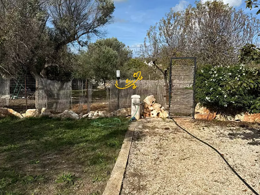 Immagine 43 di Baita in vendita  in Contrada Grotta SN a Ostuni