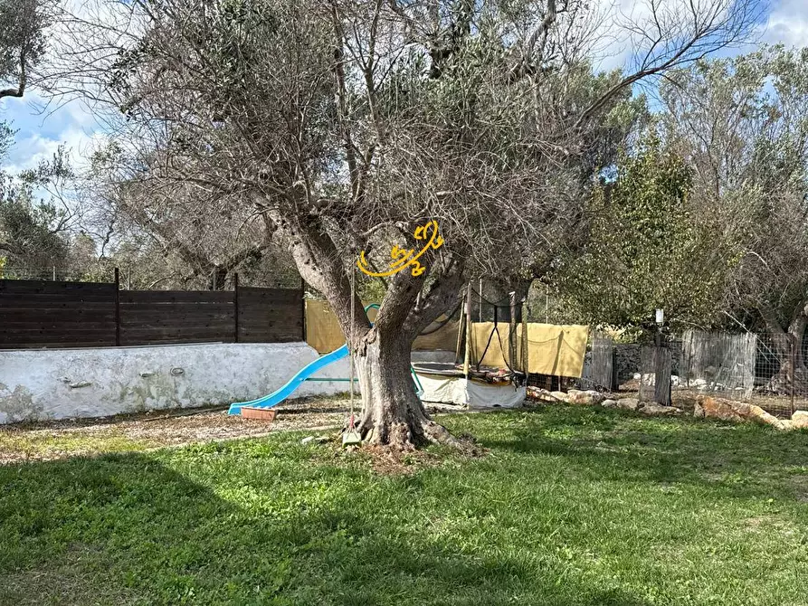 Immagine 44 di Baita in vendita  in Contrada Grotta SN a Ostuni