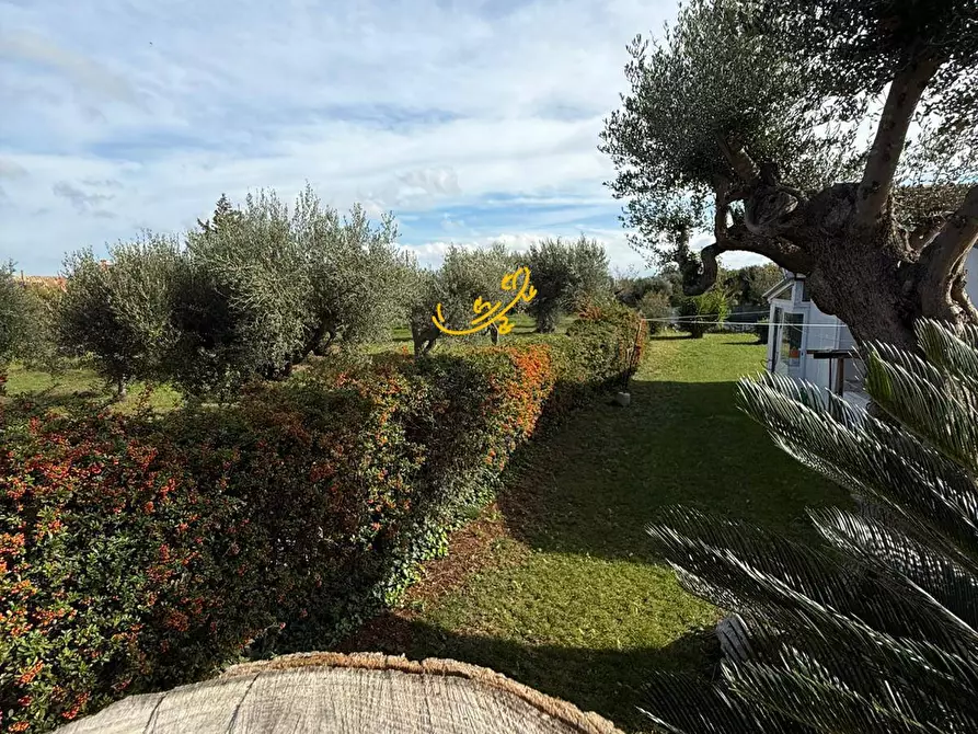 Immagine 38 di Villa in vendita  in Via Selva di Fasano a Bitonto