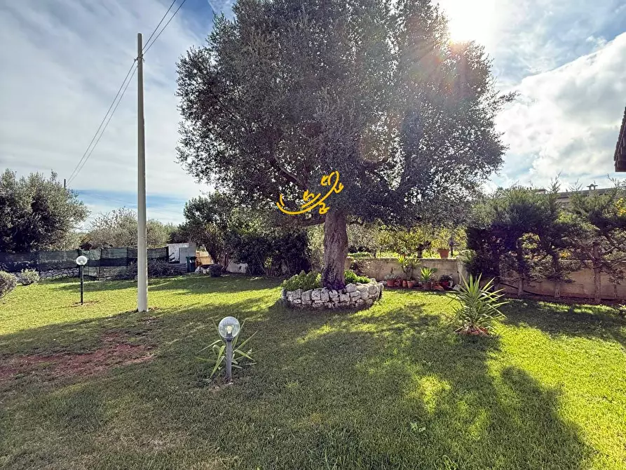 Immagine 23 di Villa in vendita  in Via Selva di Fasano a Bitonto