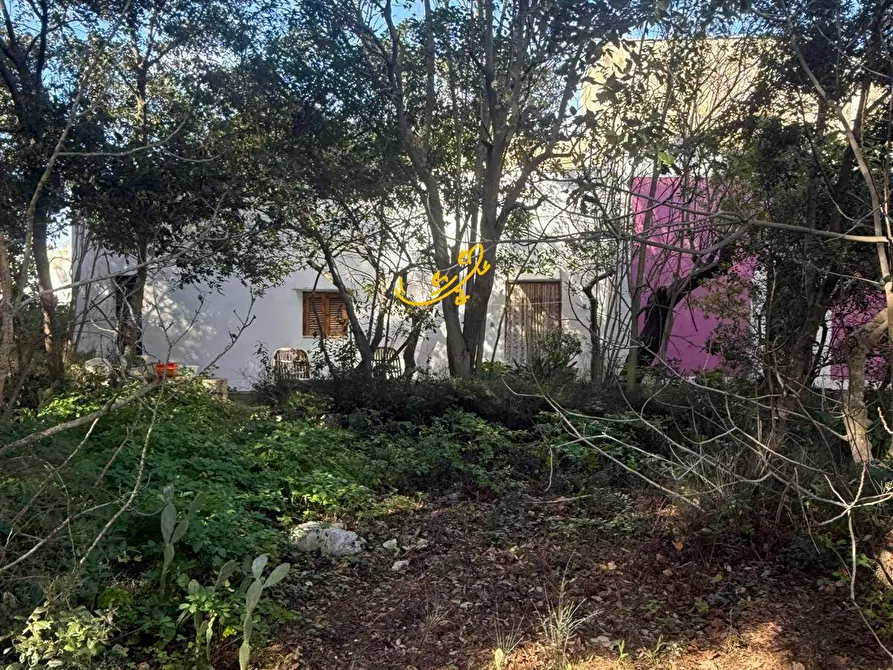 Immagine 5 di Rustico / casale in vendita  in Strada Comunale Foggiali a Castellana Grotte