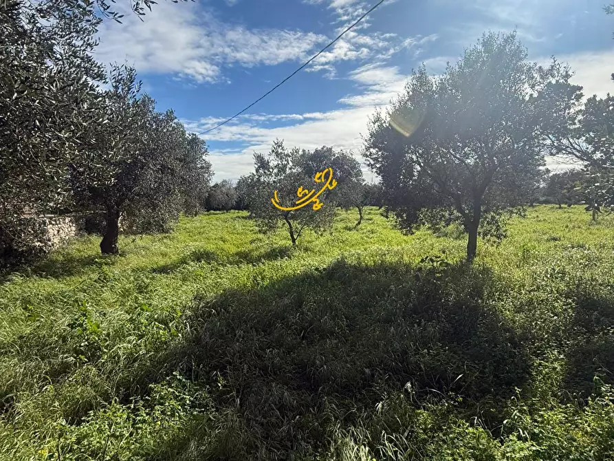 Immagine 12 di Rustico / casale in vendita  in Strada Comunale Foggiali a Castellana Grotte
