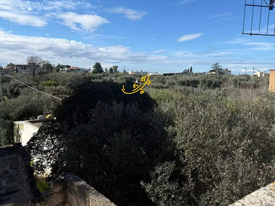 Immagine 14 di Rustico / casale in vendita  in Strada Comunale Foggiali a Castellana Grotte