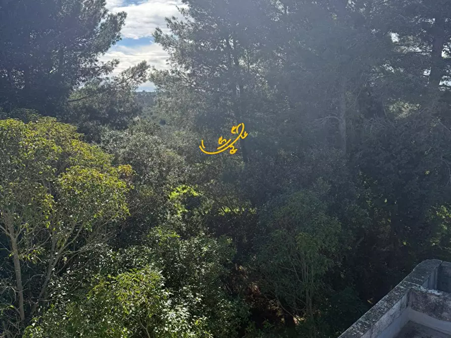 Immagine 15 di Rustico / casale in vendita  in Strada Comunale Foggiali a Castellana Grotte