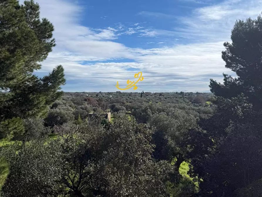 Immagine 16 di Rustico / casale in vendita  in Strada Comunale Foggiali a Castellana Grotte