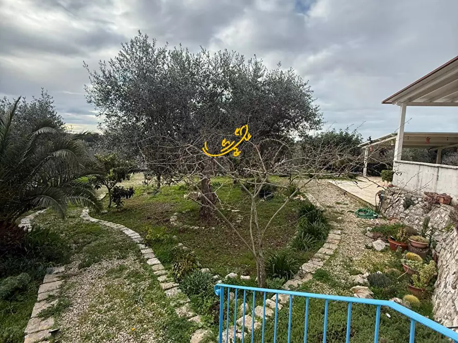 Immagine 22 di Villa in vendita  in Strada Comunale Parco Balistris a Polignano A Mare