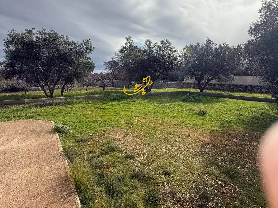 Immagine 13 di Villa in vendita  in Strada Contrada Romanelli a Monopoli