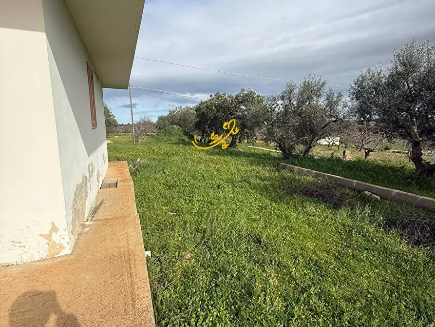 Immagine 14 di Villa in vendita  in Strada Contrada Romanelli a Monopoli