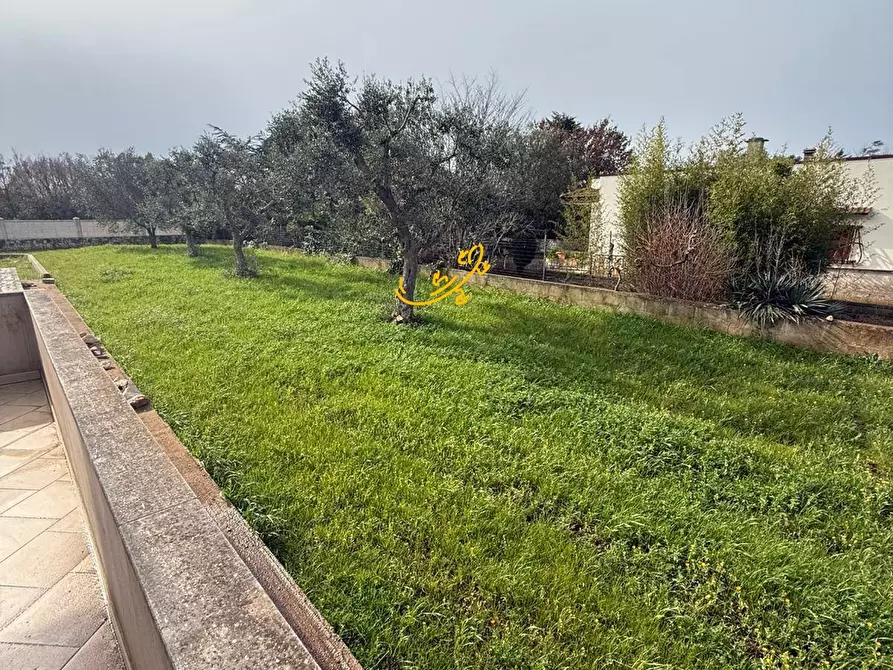 Immagine 18 di Villa in vendita  in Strada Contrada Romanelli a Monopoli