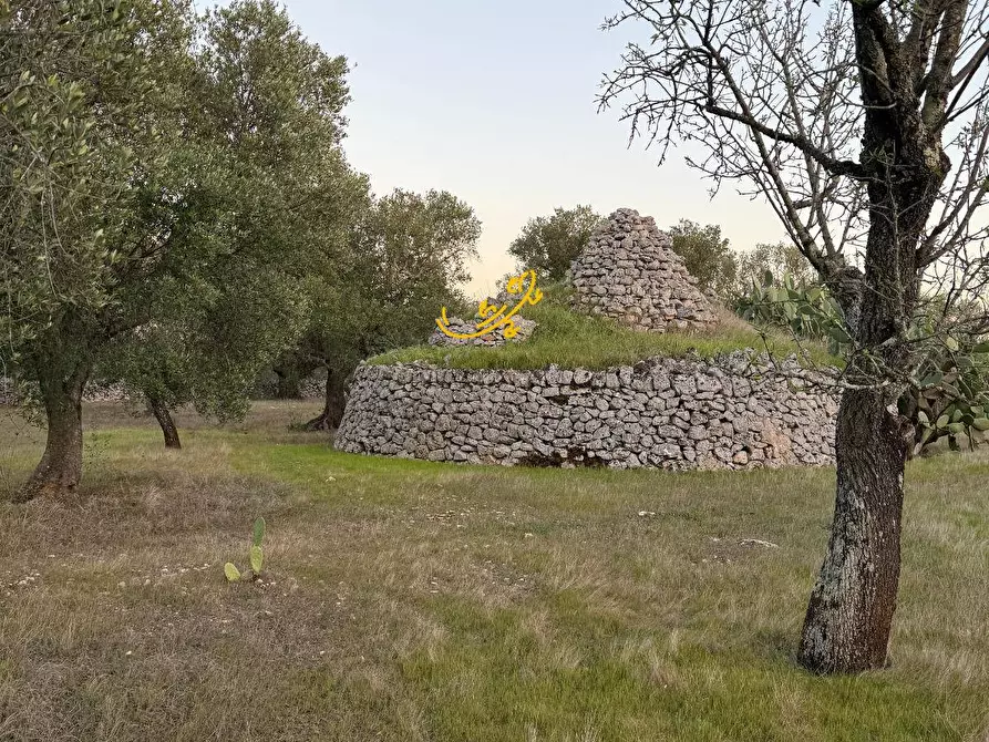 Immagine 20 di Rustico / casale in vendita  in Contrada Boccadoro a Ostuni