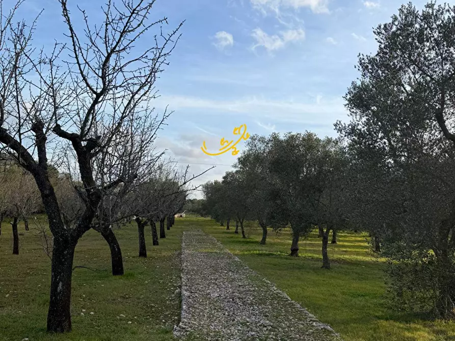 Immagine 25 di Rustico / casale in vendita  in Contrada Boccadoro a Ostuni