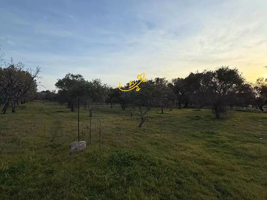 Immagine 28 di Rustico / casale in vendita  in Contrada Boccadoro a Ostuni
