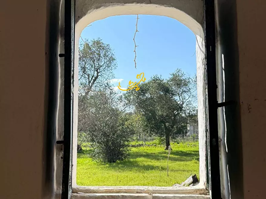 Immagine 30 di Rustico / casale in vendita  in Contrada Boccadoro a Ostuni