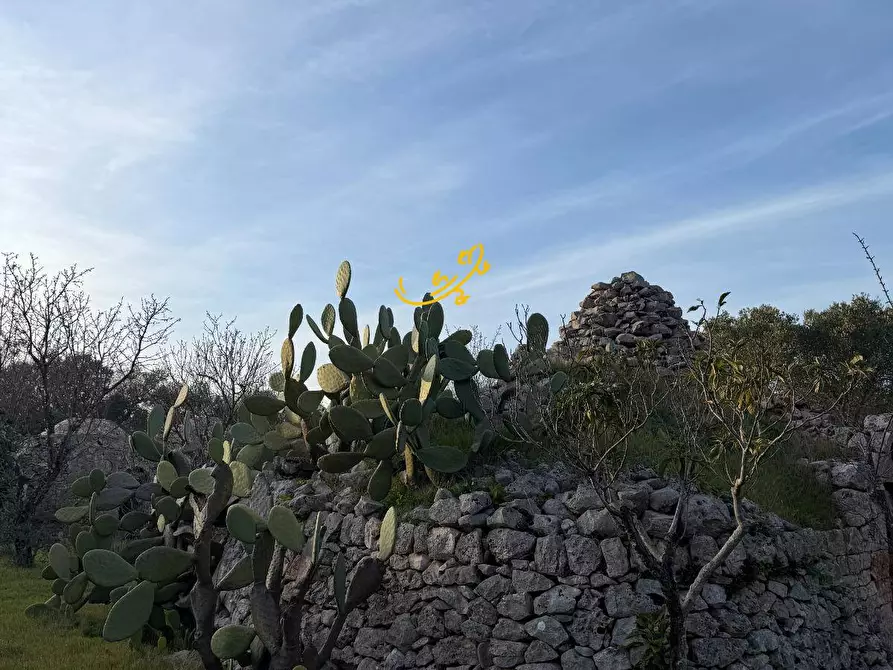 Immagine 32 di Rustico / casale in vendita  in Contrada Boccadoro a Ostuni