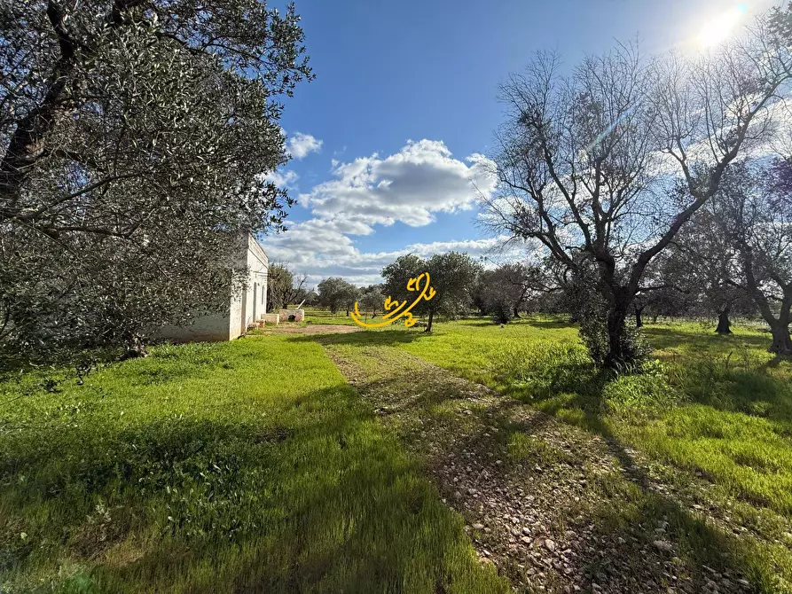 Immagine 33 di Rustico / casale in vendita  in Contrada Boccadoro a Ostuni