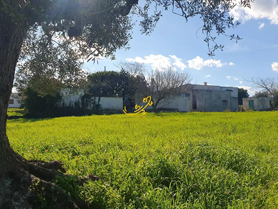 Immagine 2 di Rustico / casale in vendita  in Contrada Cappelluzzo a Ostuni
