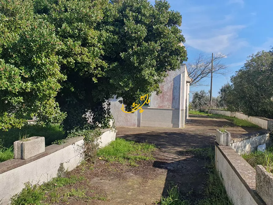 Immagine 3 di Rustico / casale in vendita  in Contrada Cappelluzzo a Ostuni