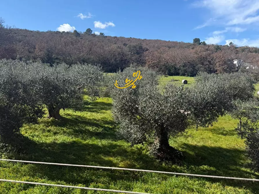 Immagine 28 di Villa in vendita  in Contrada Quei di Carlo a Locorotondo