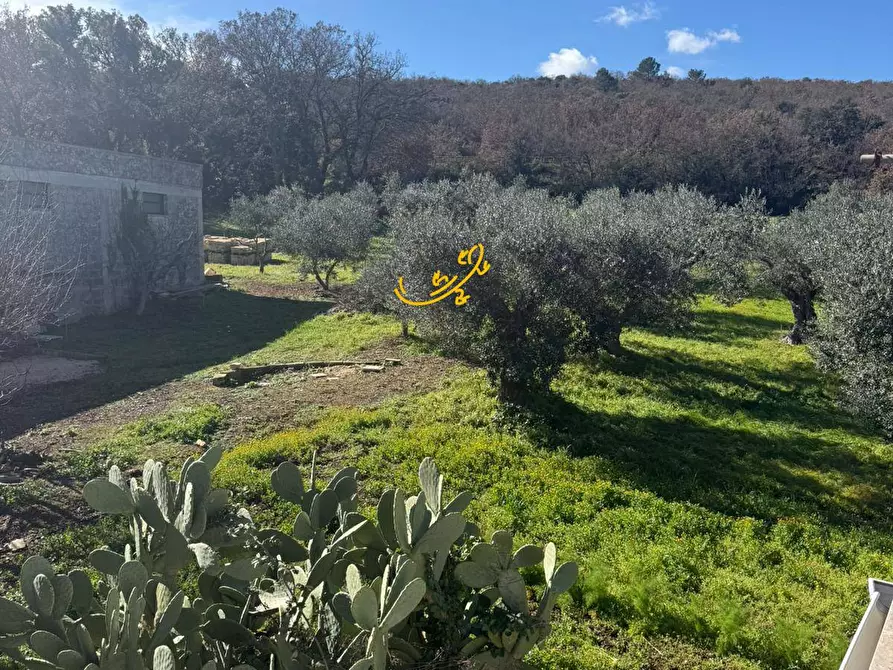 Immagine 29 di Villa in vendita  in Contrada Quei di Carlo a Locorotondo