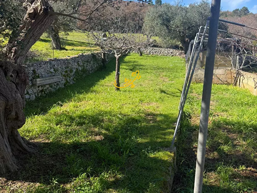 Immagine 30 di Villa in vendita  in Contrada Quei di Carlo a Locorotondo