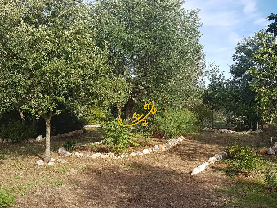 Immagine 6 di Villa in vendita  in Contrada Pagliericci a Monopoli