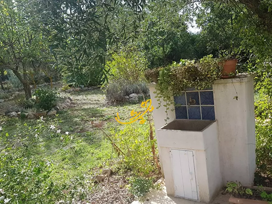 Immagine 9 di Villa in vendita  in Contrada Pagliericci a Monopoli