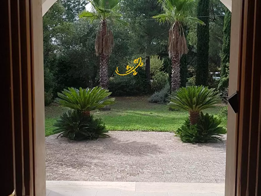 Immagine 5 di Villa in vendita  in Contrada Pagliericci a Monopoli