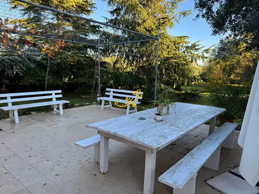 Immagine 14 di Villa in vendita  in Contrada Pagliericci a Monopoli
