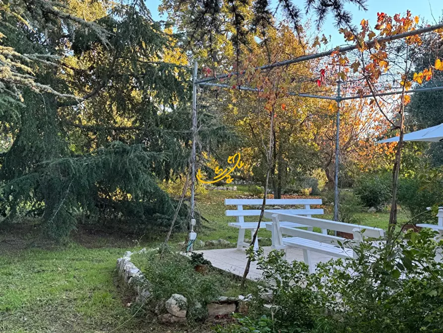 Immagine 39 di Villa in vendita  in Contrada Pagliericci a Monopoli