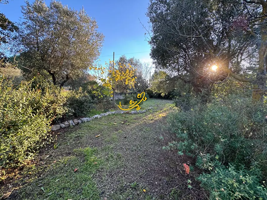 Immagine 40 di Villa in vendita  in Contrada Pagliericci a Monopoli