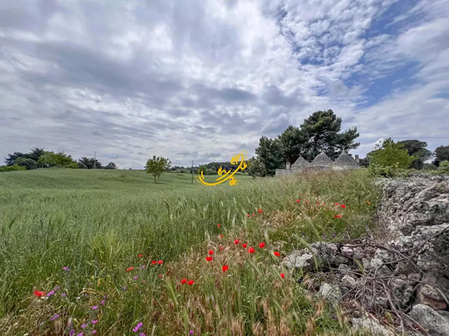 Immagine 16 di Baita in vendita  in Strada Vaccara a Martina Franca
