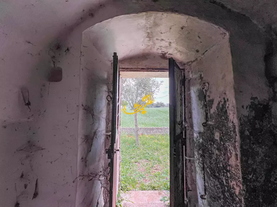 Immagine 26 di Baita in vendita  in Strada Vaccara a Martina Franca