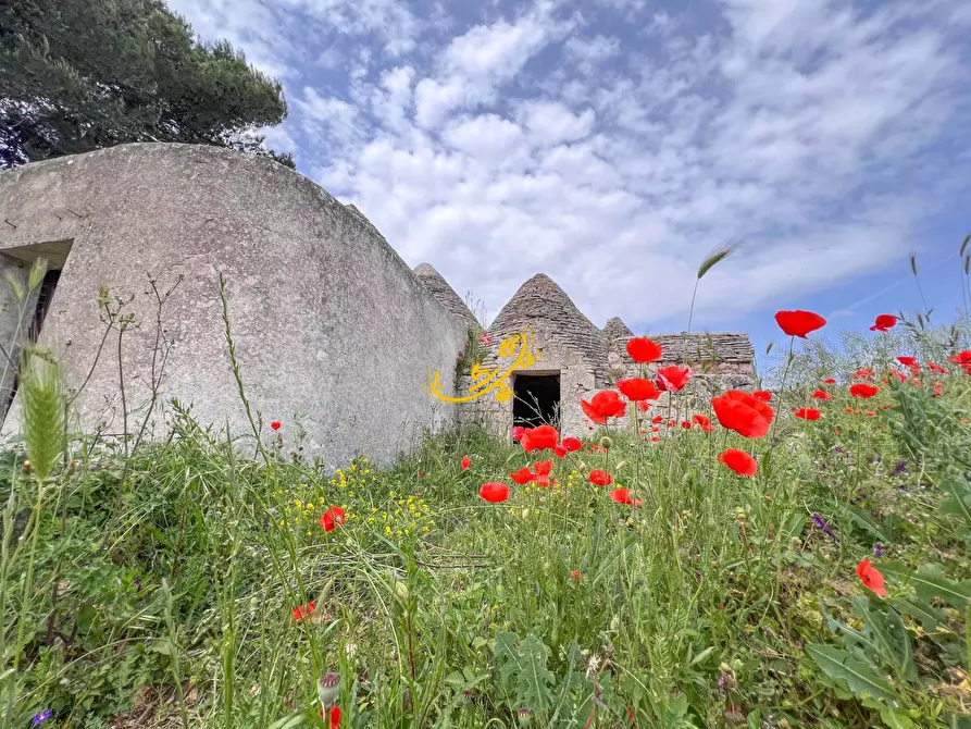 Immagine 27 di Baita in vendita  in Strada Vaccara a Martina Franca