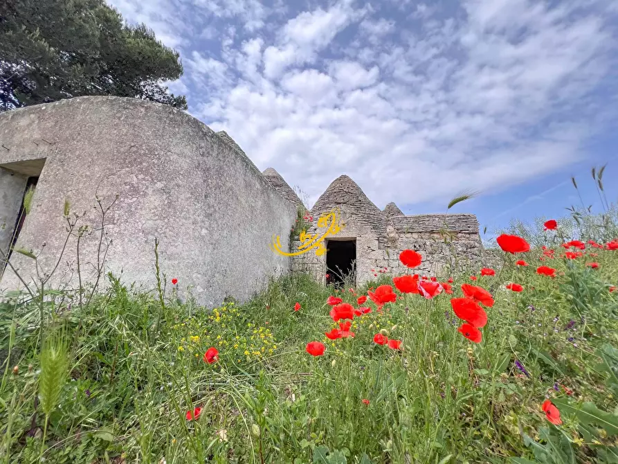 Immagine 28 di Baita in vendita  in Strada Vaccara a Martina Franca