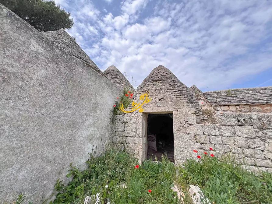 Immagine 31 di Baita in vendita  in Strada Vaccara a Martina Franca