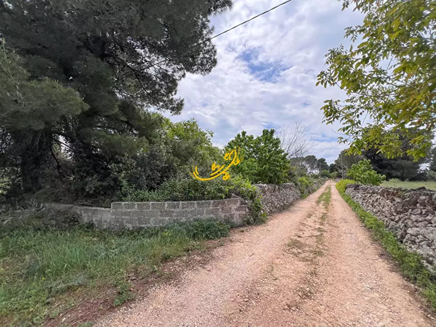 Immagine 34 di Baita in vendita  in Strada Vaccara a Martina Franca