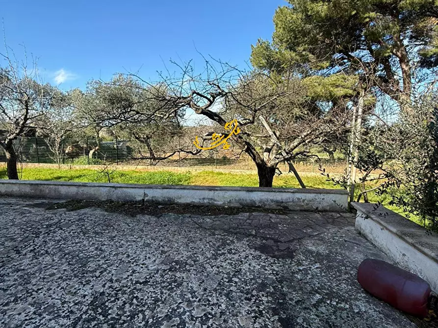 Immagine 7 di Rustico / casale in vendita  in Strada Comunale del Rosario a Putignano