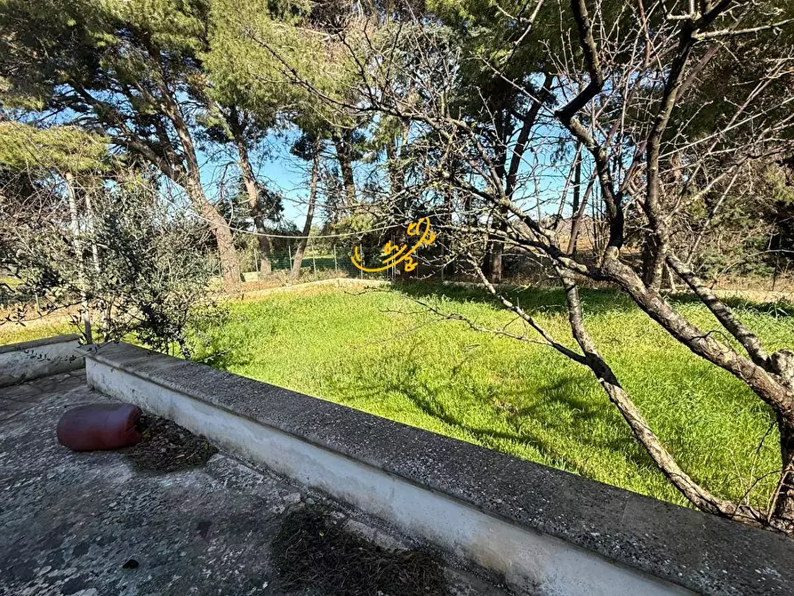 Immagine 4 di Rustico / casale in vendita  in Strada Comunale del Rosario a Putignano