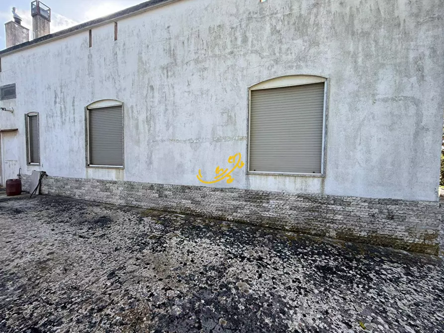 Immagine 6 di Rustico / casale in vendita  in Strada Comunale del Rosario a Putignano