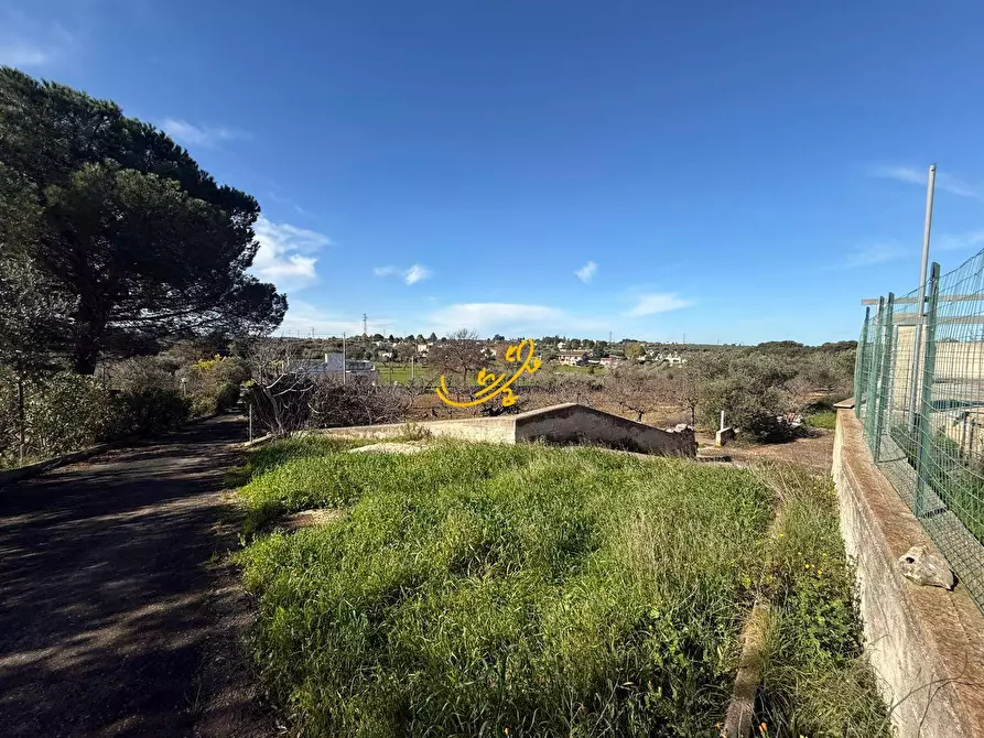 Immagine 8 di Rustico / casale in vendita  in Strada Comunale del Rosario a Putignano